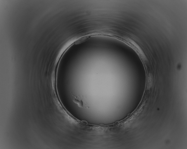 X0000095680812200801151124