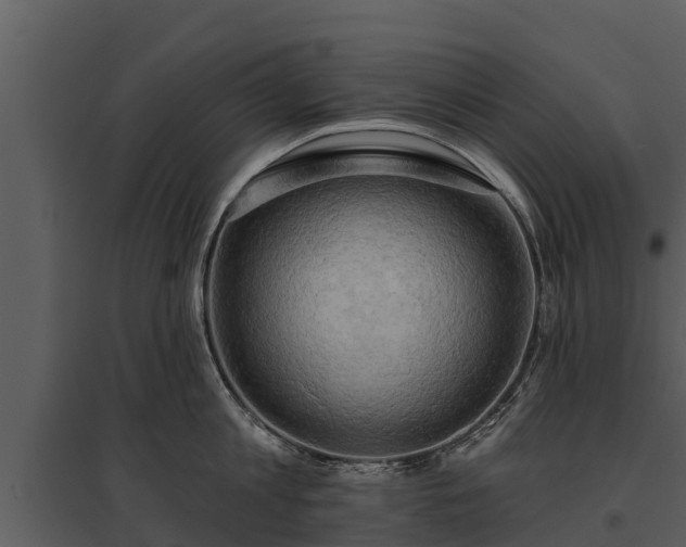 X0000095680813200801151124