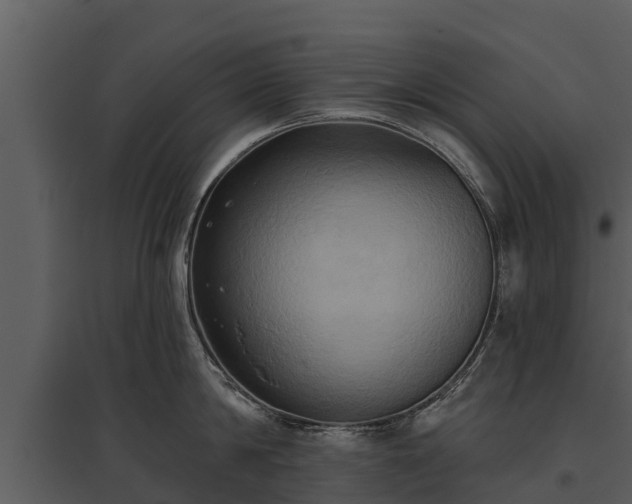 X0000095680814200801151124