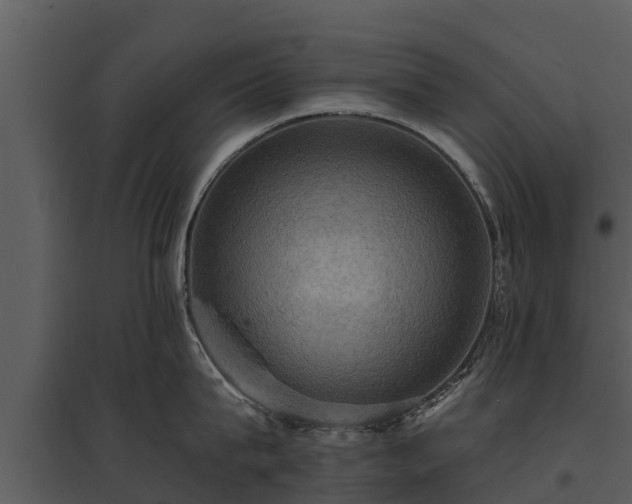 X0000095680815200801151124