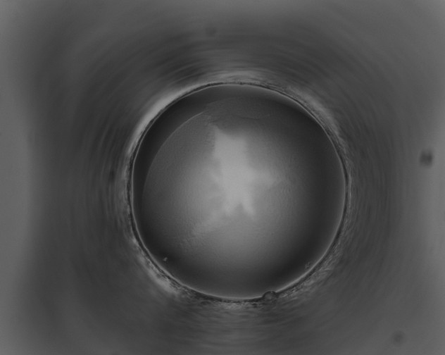 X0000095680816200801151124