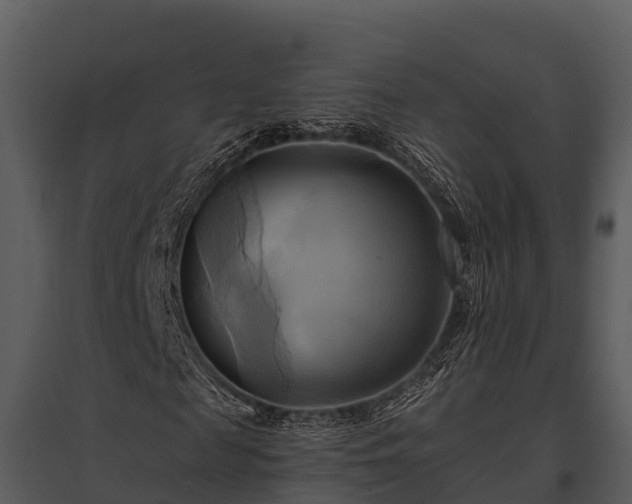 X0000095680817200801151123