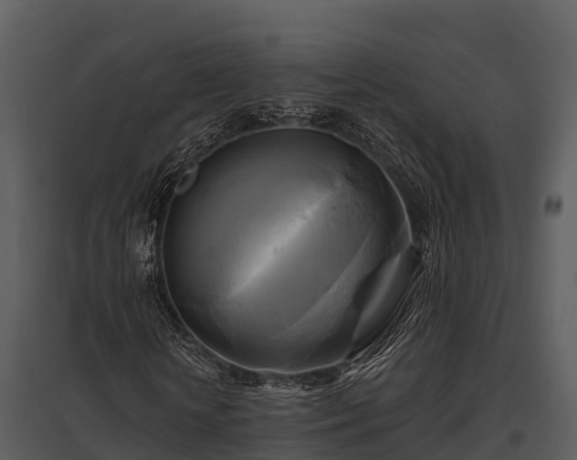 X0000095680818200801151123