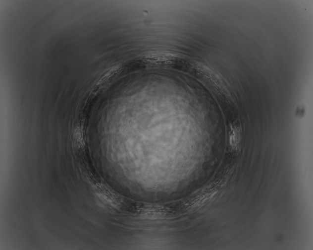 X0000095680819200801151123