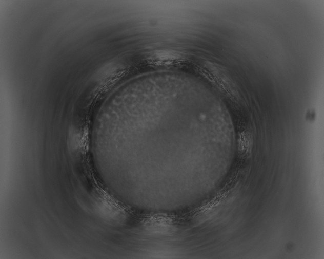 X0000095680820200801151123