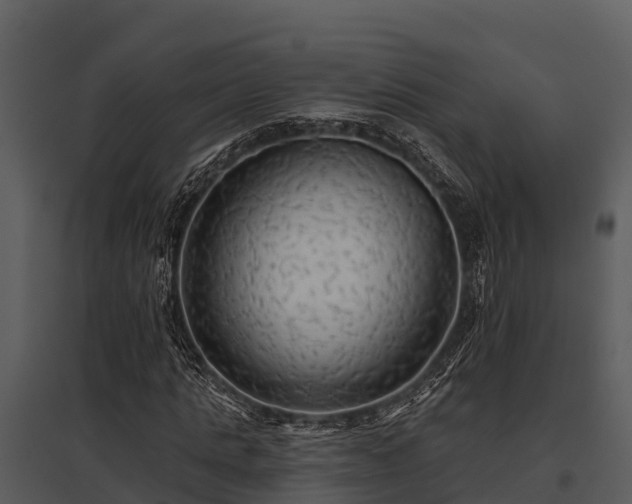 X0000095680821200801151123
