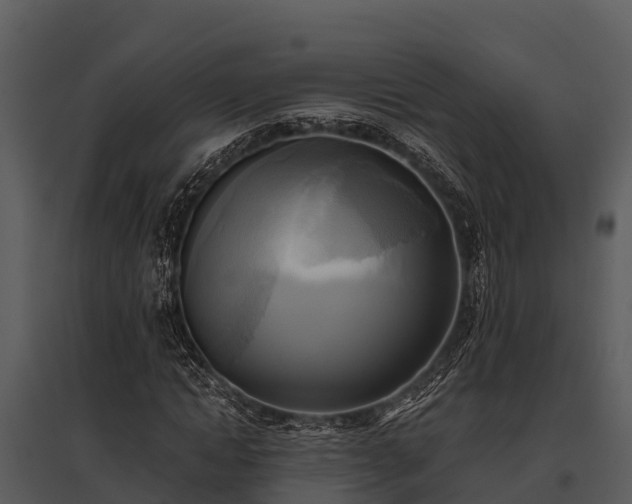 X0000095680822200801151123