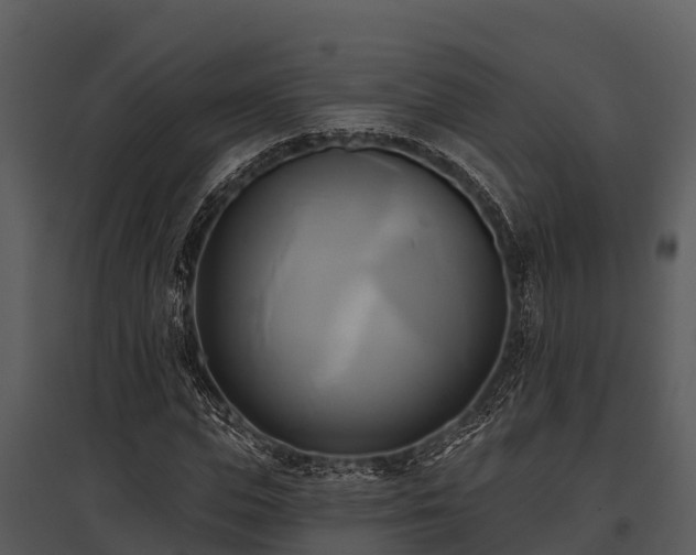 X0000095680823200801151123