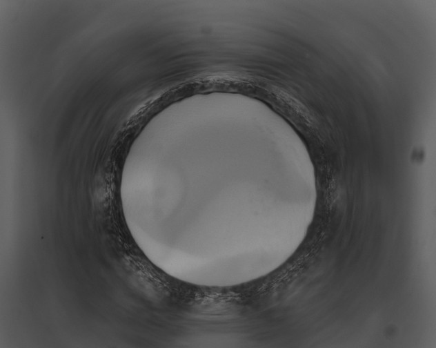 X0000095680824200801151123