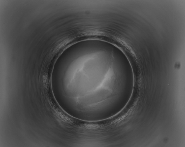 X0000095680825200801151123