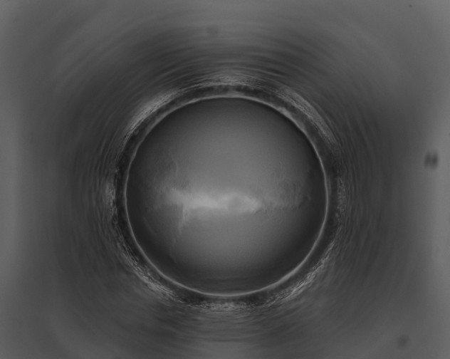 X0000095680826200801151123