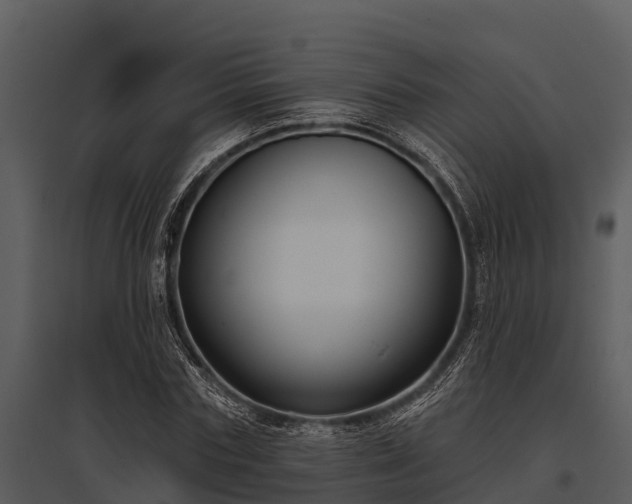 X0000095680827200801151123