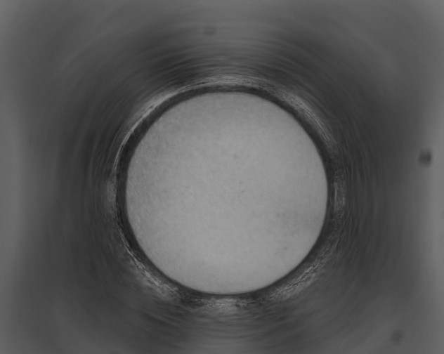 X0000095680828200801151124