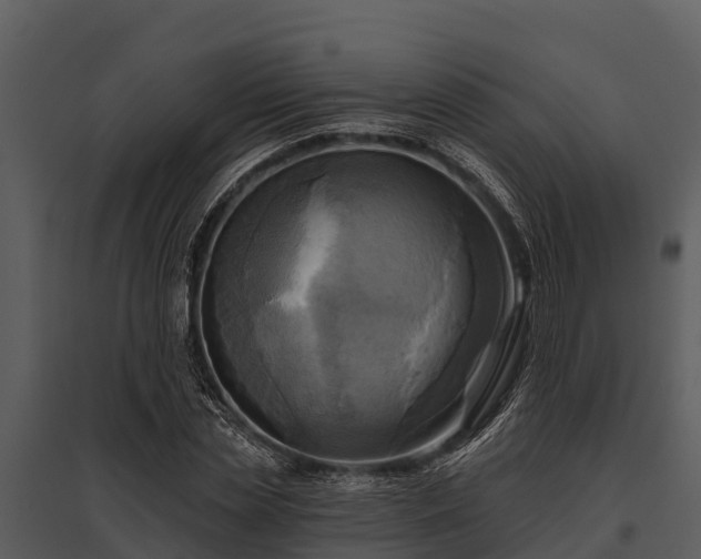 X0000095680829200801151124
