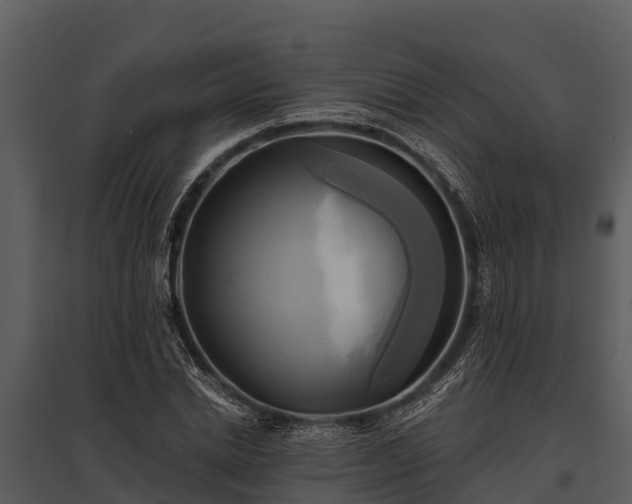 X0000095680830200801151124