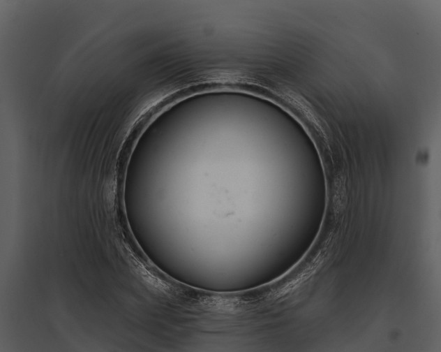 X0000095680831200801151124