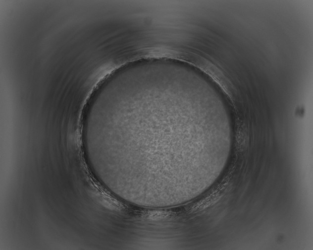 X0000095680832200801151124