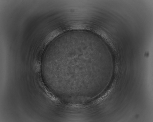 X0000095680833200801151124