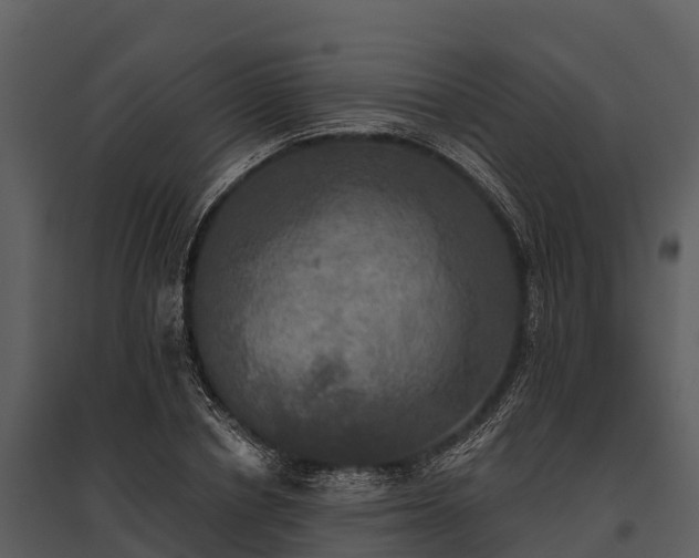 X0000095680834200801151124