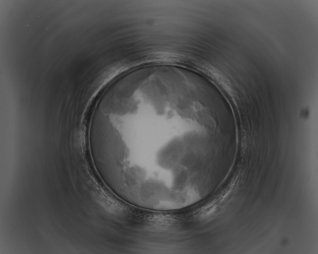 X0000095680835200801151124