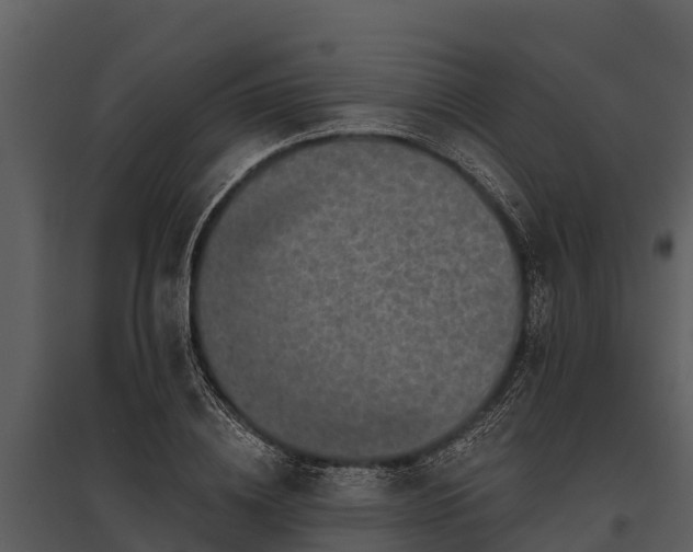 X0000095680836200801151124