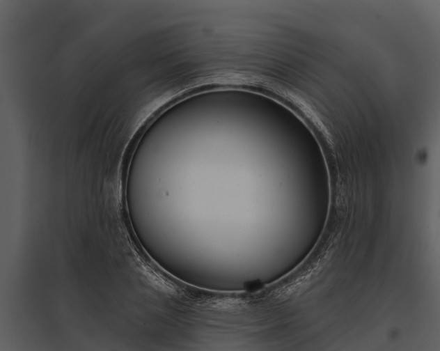 X0000095680837200801151124