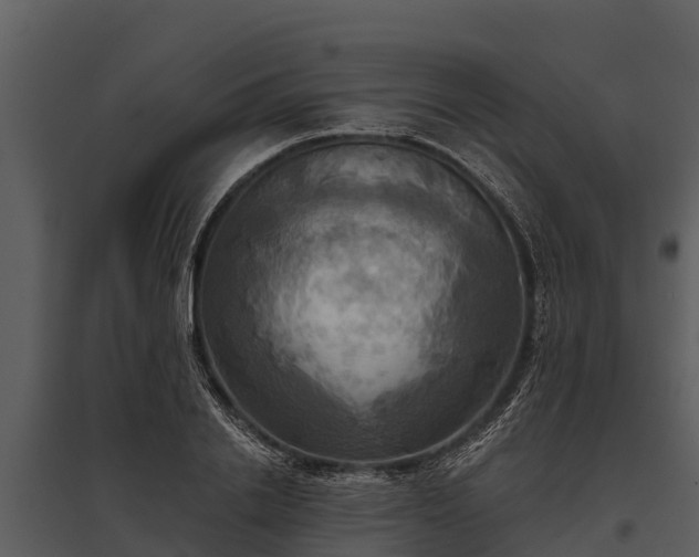 X0000095680838200801151124