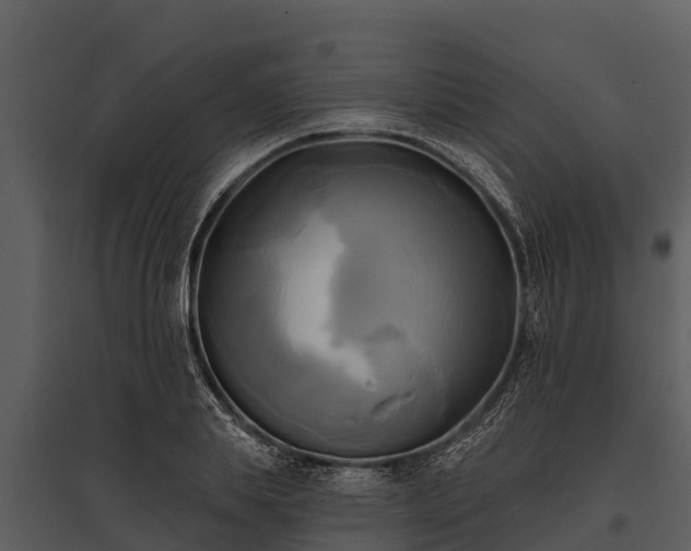 X0000095680839200801151124