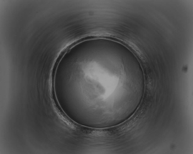 X0000095680840200801151124