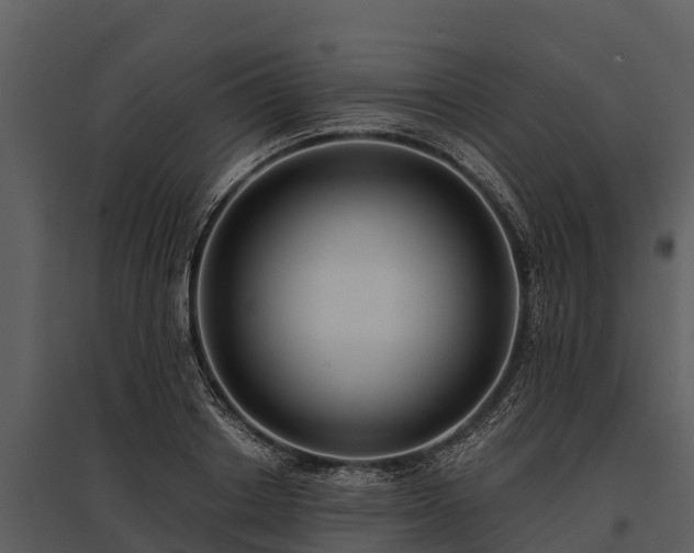 X0000095680842200801151124
