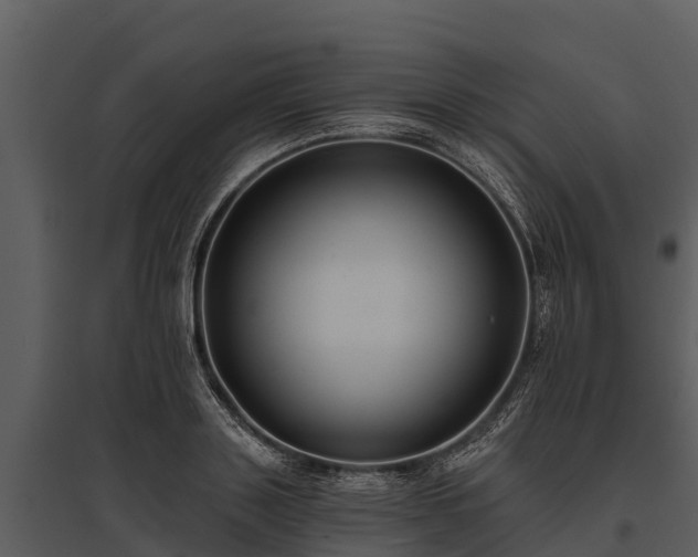 X0000095680843200801151124