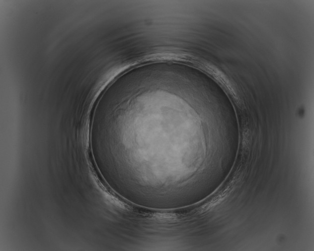 X0000095680844200801151124