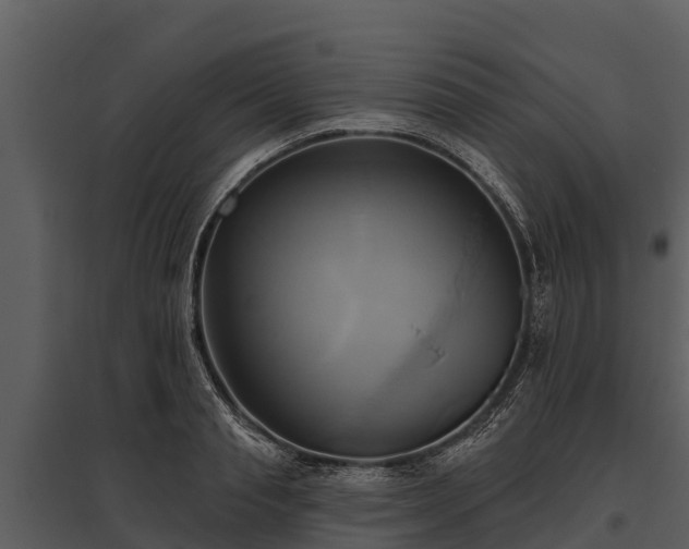 X0000095680845200801151124