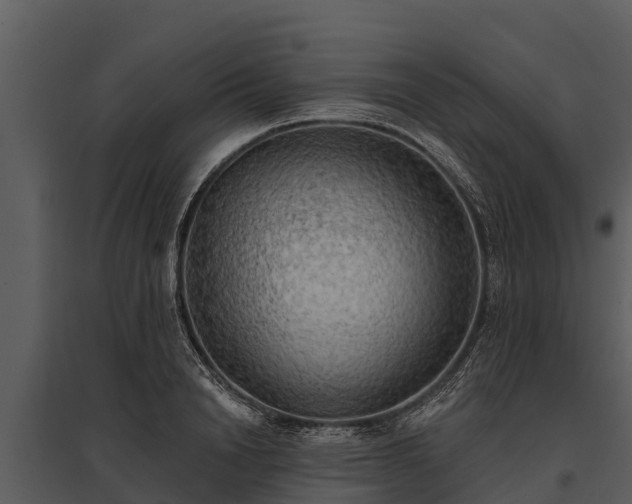 X0000095680846200801151124