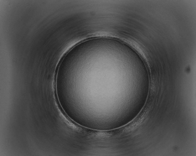 X0000095680847200801151124