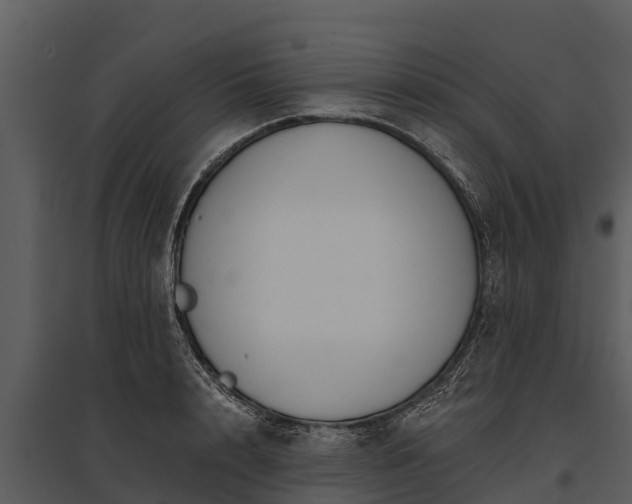 X0000095680848200801151124