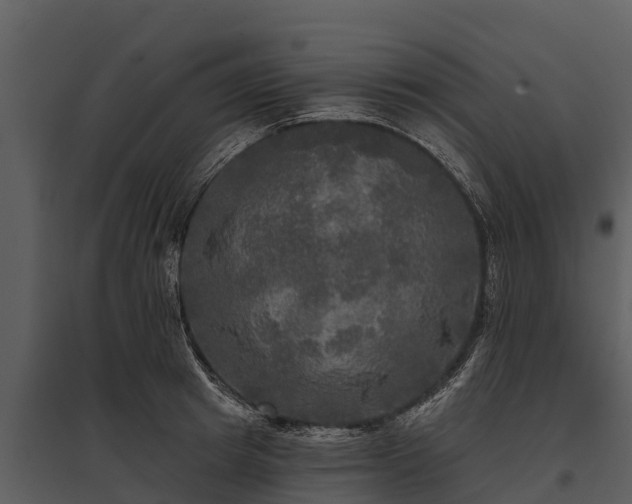 X0000095680849200801151124