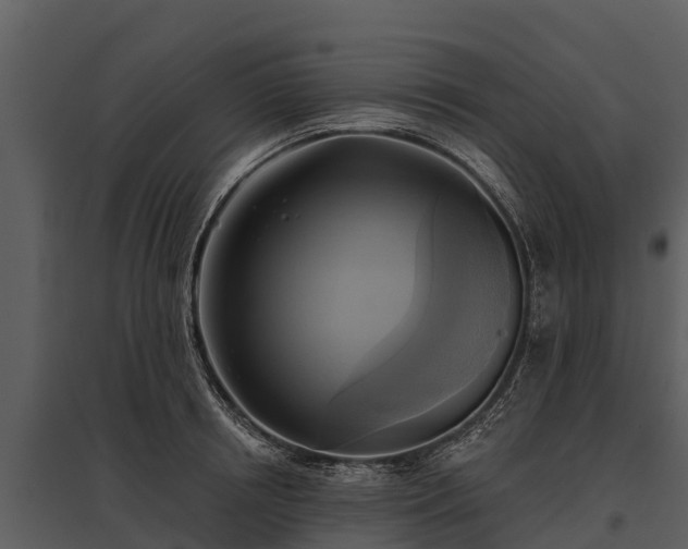 X0000095680850200801151124