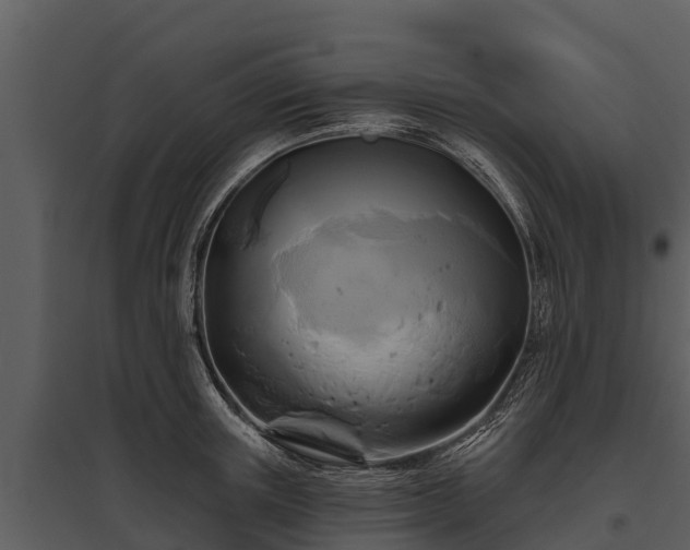 X0000095680851200801151124