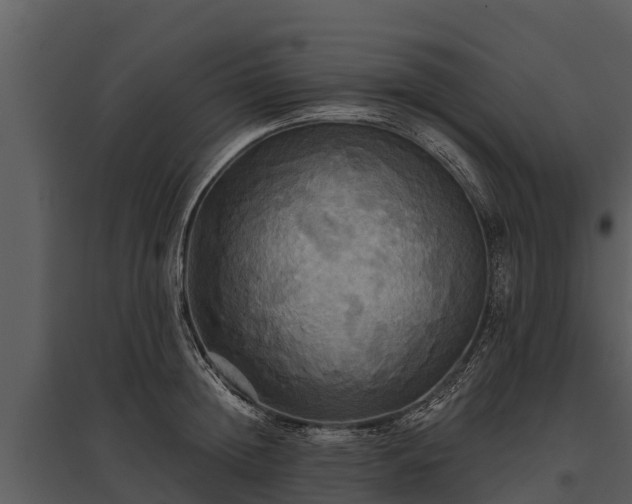 X0000095680852200801151124