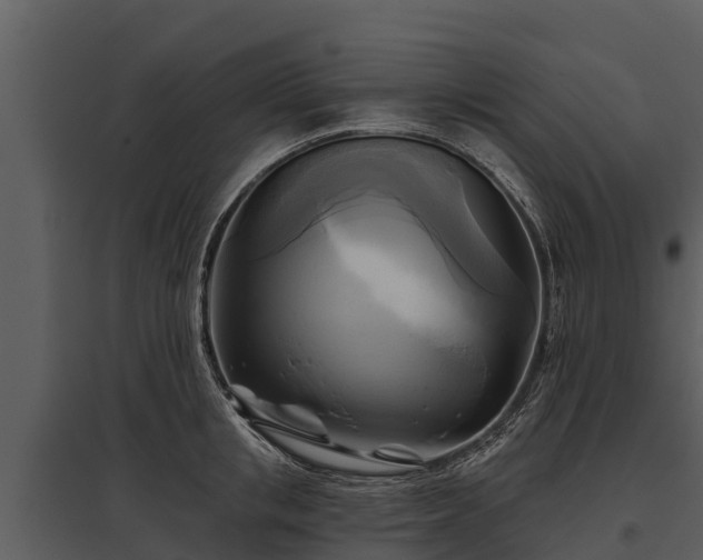 X0000095680853200801151124