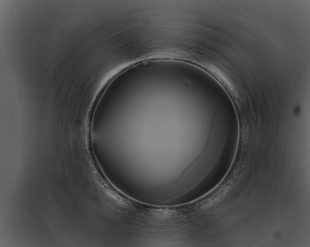 X0000095680854200801151124