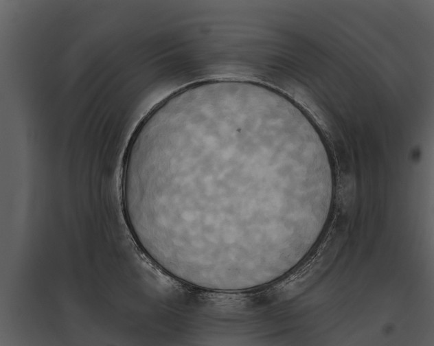 X0000095680856200801151124