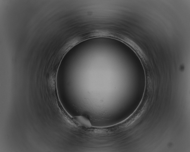 X0000095680857200801151124
