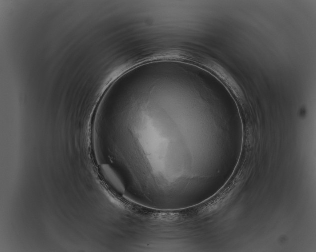 X0000095680858200801151124