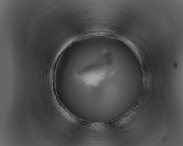 X0000095680859200801151124