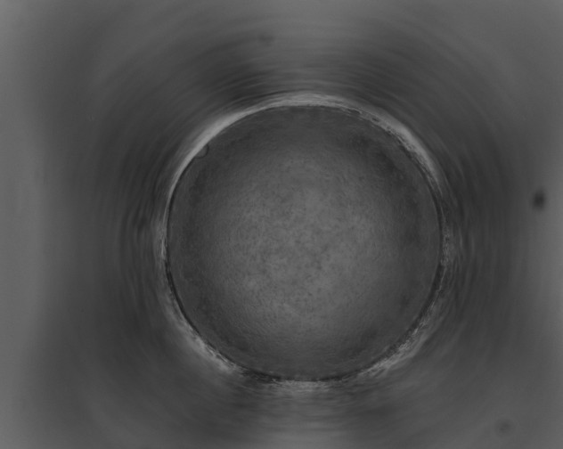 X0000095680860200801151124