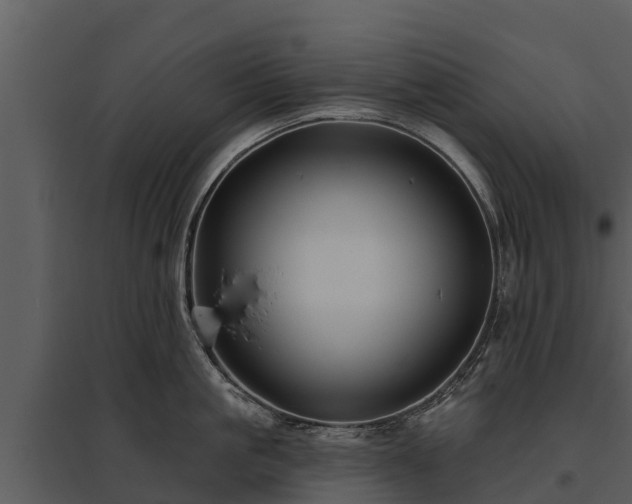 X0000095680861200801151124