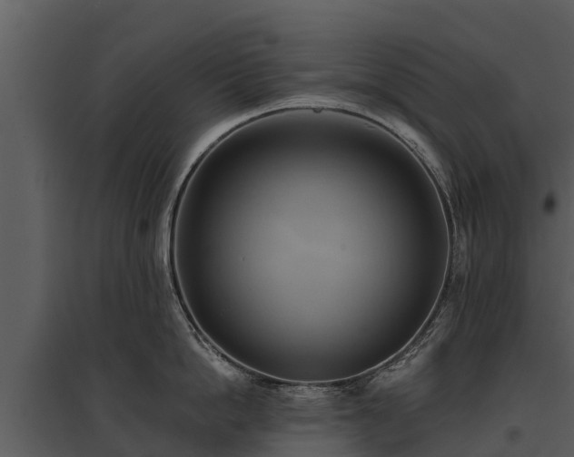 X0000095680862200801151124