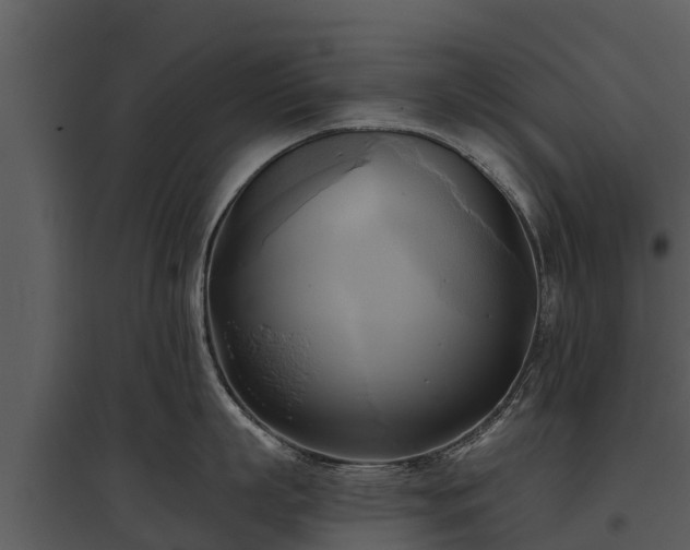 X0000095680863200801151124